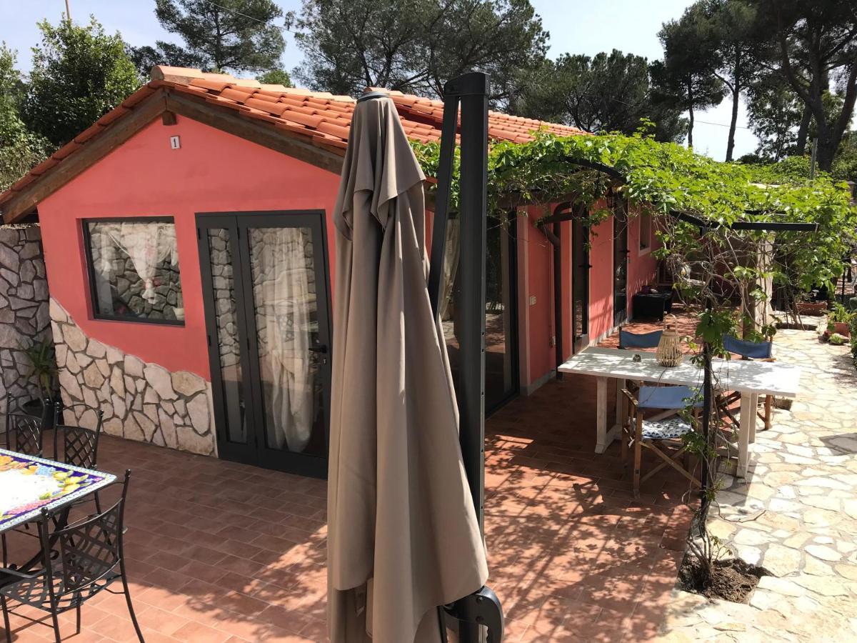 Suosogno Sul Mare 200Metri Dalla Spiaggia Capoliveri  Dış mekan fotoğraf