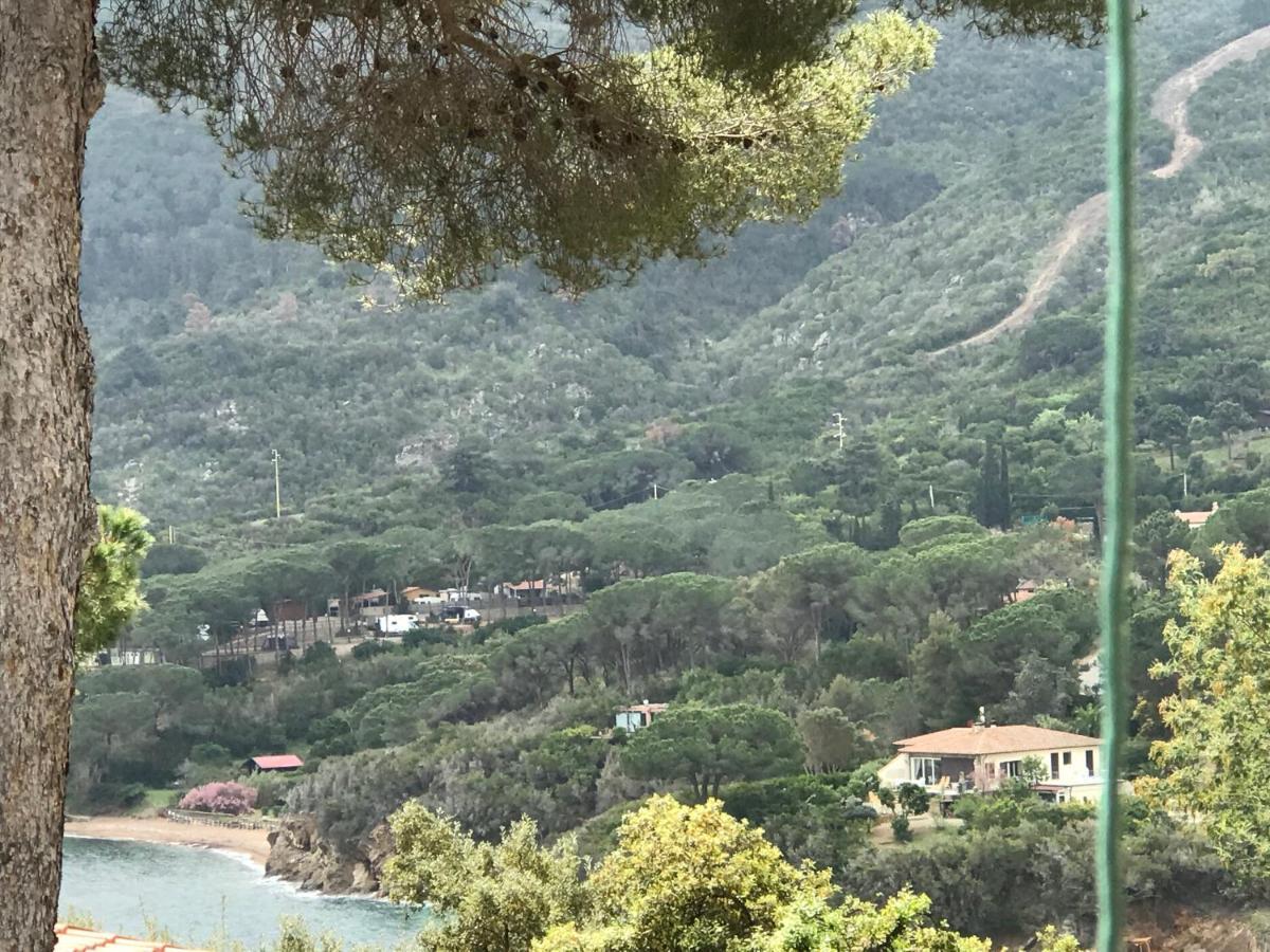 Suosogno Sul Mare 200Metri Dalla Spiaggia Capoliveri  Dış mekan fotoğraf