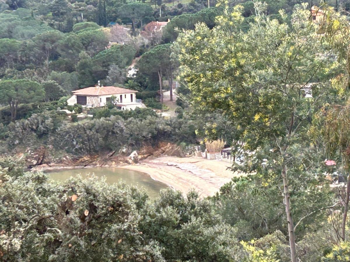 Suosogno Sul Mare 200Metri Dalla Spiaggia Capoliveri  Dış mekan fotoğraf